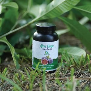 ত্বীন মিক্স ডায়াবেটিস ভরি এক মাসের কোর্স